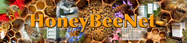 HoneyBeeNet bannerimage