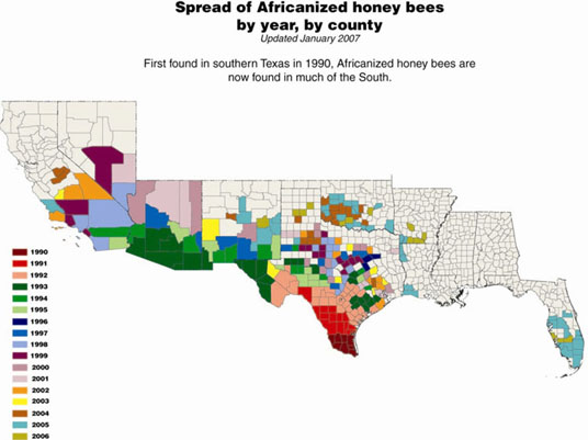 USDA map of Africanized Honeybee distribution by US county